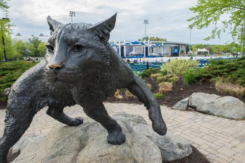 Wildcat Statue at commencement ceremony